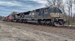 NS 7285 leads 6K4.